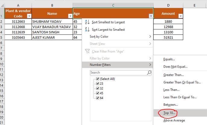 How to filter data in Excel